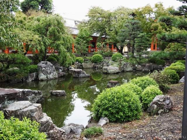 Egy álom valóra vált - Seba Japánban 21